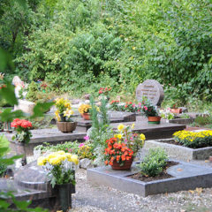 Friedhof