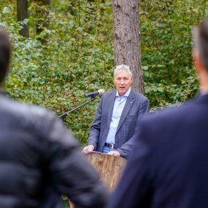 Rede Herbstwald erleben