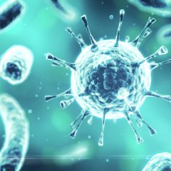 Coronavirus