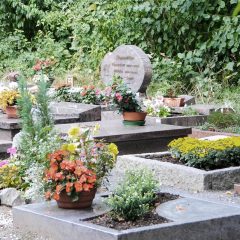 Urnengrab Friedhof